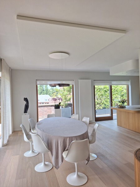 COUSTceiling at P.I (2)